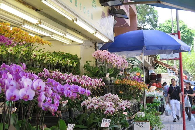 Hong Kong Private Shore Excursion 4/6hrs (with car - MPV) - A smart way to use limited port time