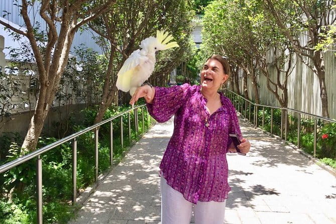 Hong Kong Private Shore Excursion 4/6hrs (with car - MPV) - What the private guide adds
