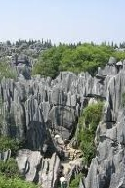 Kunming: Stone Forest Private Day Tour - Why the Stone Forest is worth the long ride