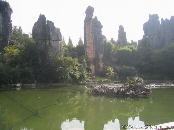 Kunming: Stone Forest Private Day Tour - The guide can make or break the visit