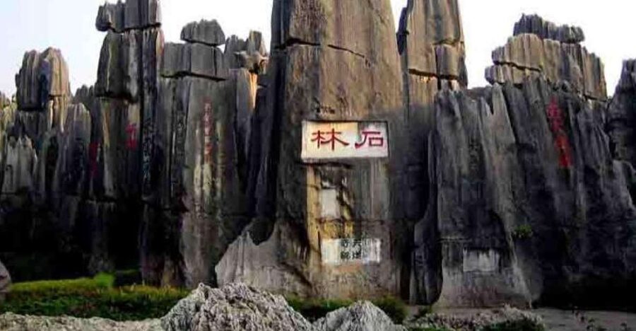 Kunming: Stone Forest Private Day Tour - What the $143 price really buys you