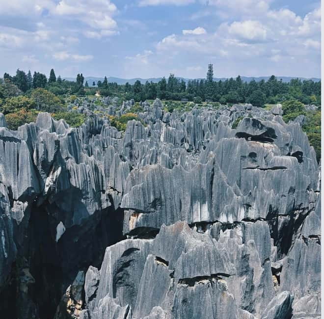 Kunming: Stone Forest, Roast Duck Lunch and City Tour - Key points to know before booking
