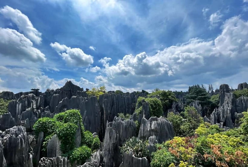 Kunming: Stone Forest, Roast Duck Lunch and City Tour - Choosing between six hours and ten