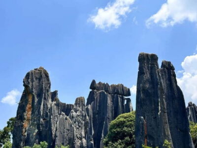 Stone Forest, Roast Duck Lunch and City Tour