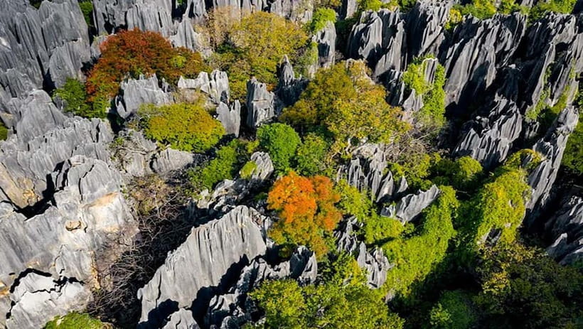 Kunming: Stone Forest, Roast Duck Lunch and City Tour - Yiliang roast duck: local specialty, tricky tour stop