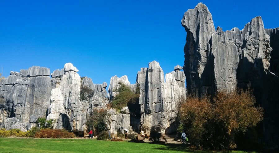 KunmingStone Forest Private Tour:Scenic Walks+Guide Insights - What the guide adds to the experience