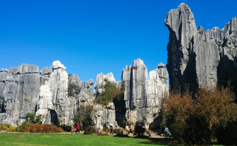 KunmingStone Forest Private Tour:Scenic Walks+Guide Insights - Is $206 per person a fair price?