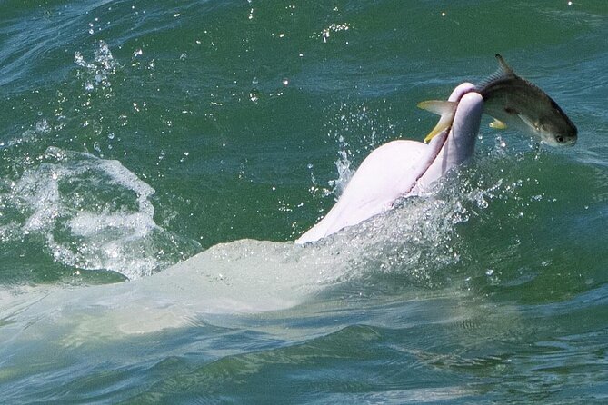 Lantau Group Tour: Dolphin Watching, Fishing Village & Cable Car - Ngong Ping 360 and the long ride above Lantau