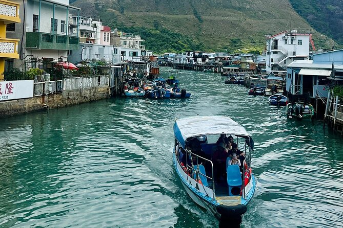 Lantau Group Tour: Dolphin Watching, Fishing Village & Cable Car - Tian Tan Buddha and the 284 steps