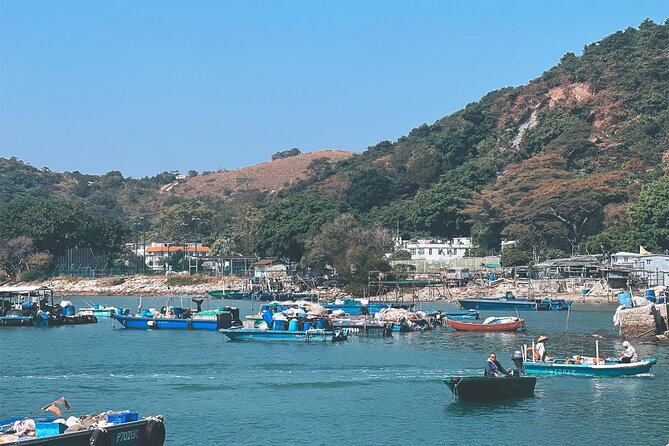 Lantau Group Tour: Dolphin Watching, Fishing Village & Cable Car - Po Lin Monastery and the included vegetarian meal