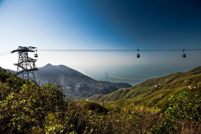 Lantau HK Guided Tour - Cable Car, Tai O, Big Buddha, Monastery - Tai O fishing village and the short boat ride