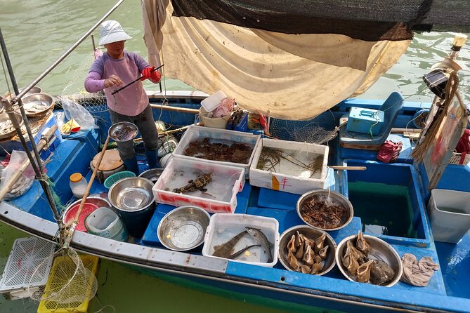Lantau Island Full Day Tour (2024) 150+ booked - The dolphin cruise and what to expect