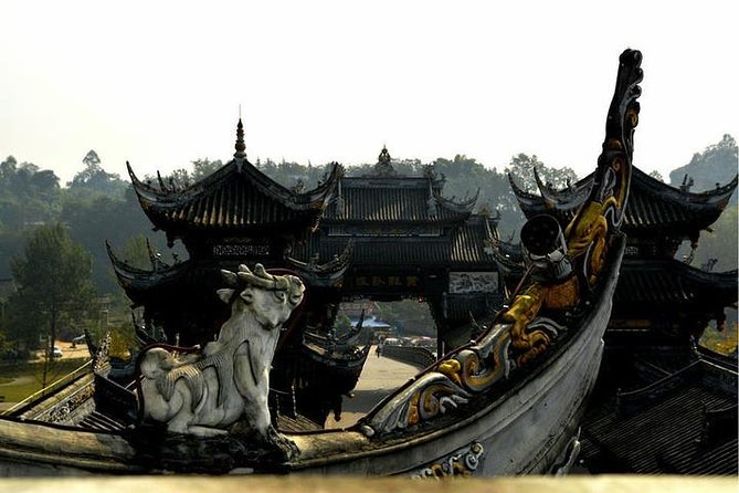 Leshan Giant Buddha and Huanglongxi Ancient Town Day Trip - Who will enjoy this private day trip?