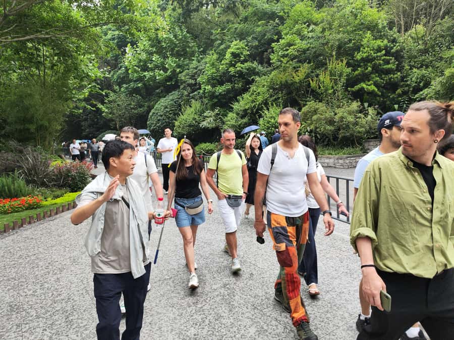 Leshan Grand Buddha Scenic Area and Panda Park Day Tour - The Long Road Toward Leshan