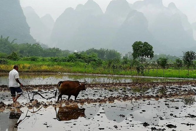 Li River Cruise with bamboo Rafting & Xianggong Hill Private Tour - Fuli Ancient Bridge and nearby villages