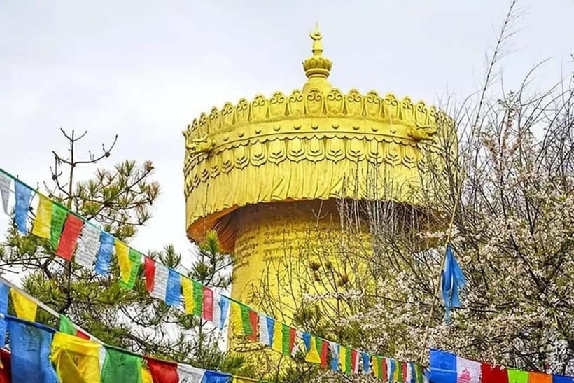 Lijiang to Shangri-La HuXiang Road Private Scenic Tour - The private vehicle, guide, and pace