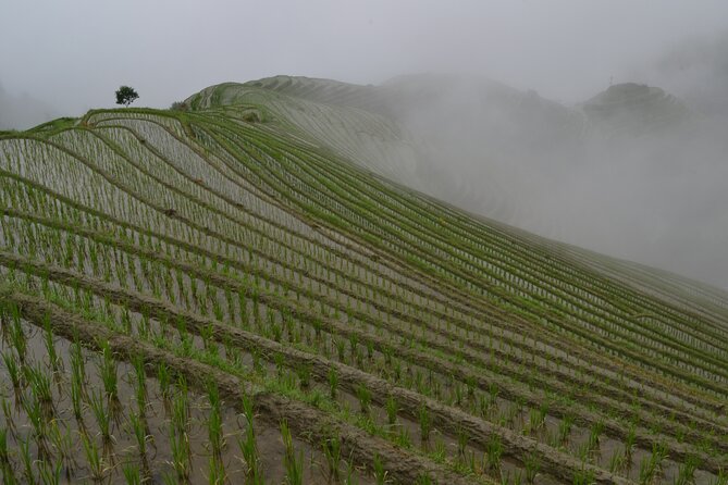 Longji Dazhai Rice Terraces Day Tour Cable Car Adventure - Why the cable car changes the Longji visit