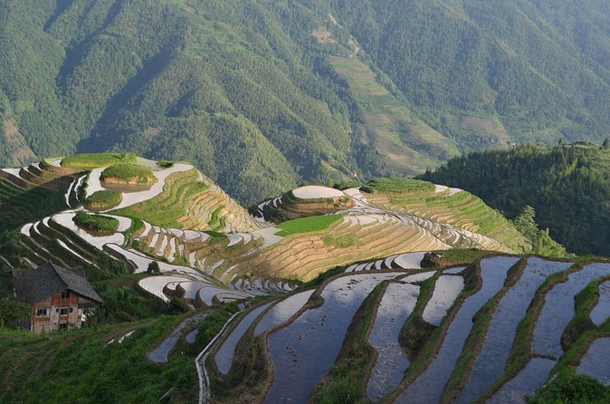 Longji Dazhai Rice Terraces Day Tour Cable Car Adventure - Timing, private service, and the return to Guilin