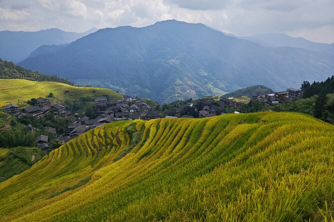 Longji Dazhai Rice Terraces Day Tour Cable Car Adventure - Dazhai Jinkeng and the wide views from above