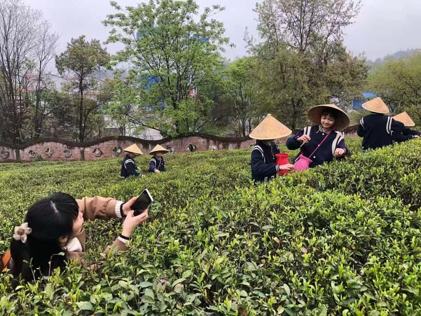 Longji Rice Terraces: 1-Day Private Tour - Why the Longji terraces are worth a full day