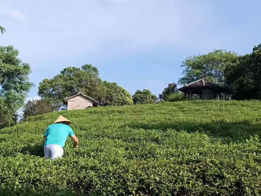 Longji Rice Terraces: 1-Day Private Tour - Huangluo Yao Village and the long-hair tradition