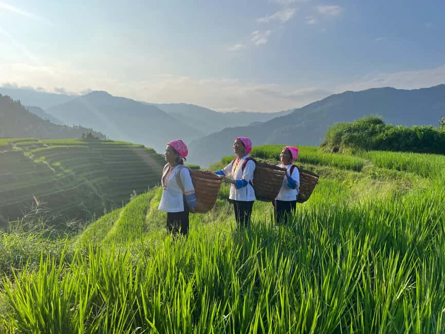 Longji Rice Terraces: 1-Day Private Tour - Liusanjie Tea Garden brings a quieter afternoon