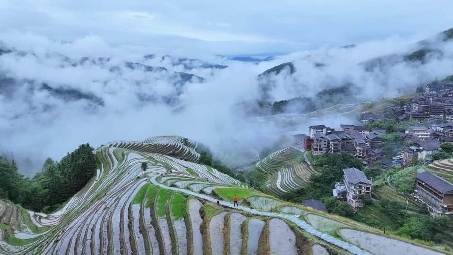 Longji Rice Terraces: 1-Day Private Tour - Who will enjoy this Longji day trip most