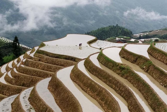 Longji Rice Terraces and Minority Village Day Tour - Bamboo rice and lunch in Ping’an