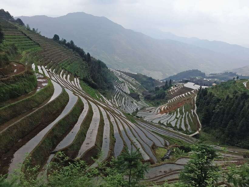 Longji Rice Terraces: Full-Day Private Tour from Guilin - Key points to know before booking