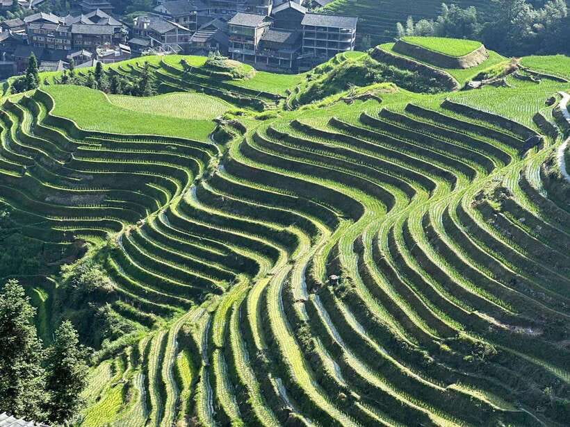 Longji Rice Terraces: Full-Day Private Tour from Guilin - Why Longji is worth a full day from Guilin