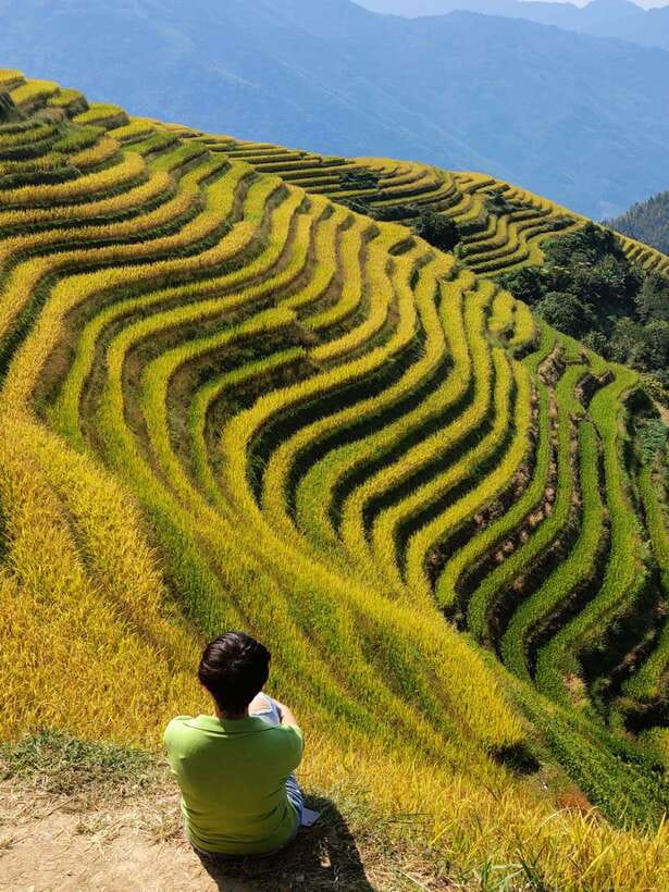 Longji Rice Terraces: Full-Day Private Tour from Guilin - What the $115 price includes