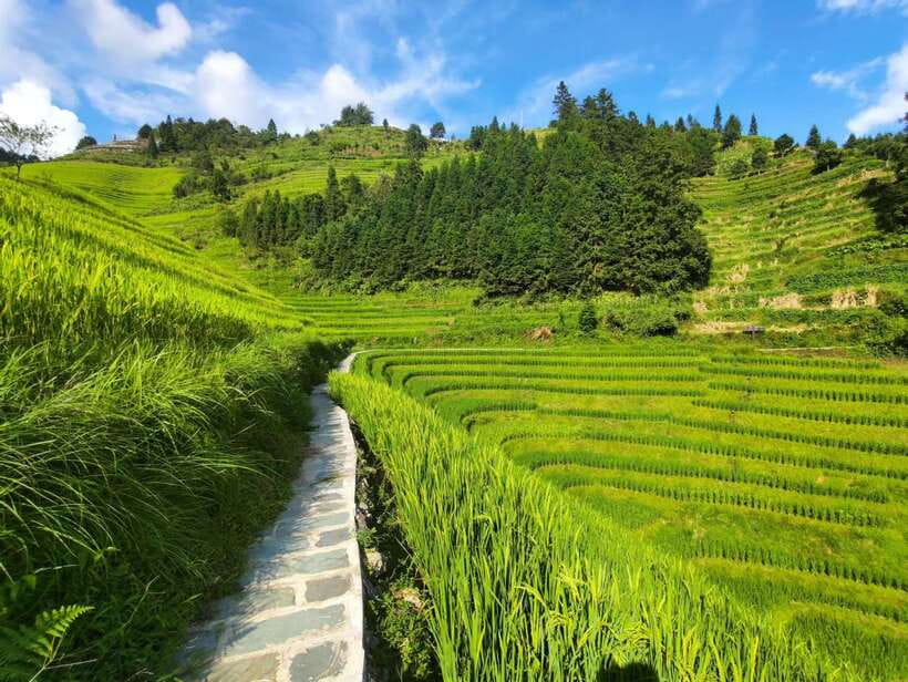 Longji Rice Terraces: Full-Day Private Tour from Guilin - The morning pickup and private drive