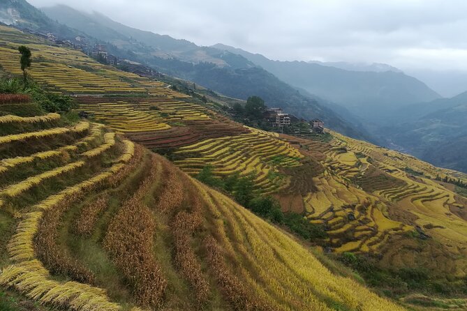 Longji Rice Terraces Hiking Tour Full Day Adventure - Zhuang Villages and Local Culture