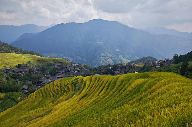 Longji Rice Terraces Hiking Tour Full Day Adventure - What the $89 Price Really Covers
