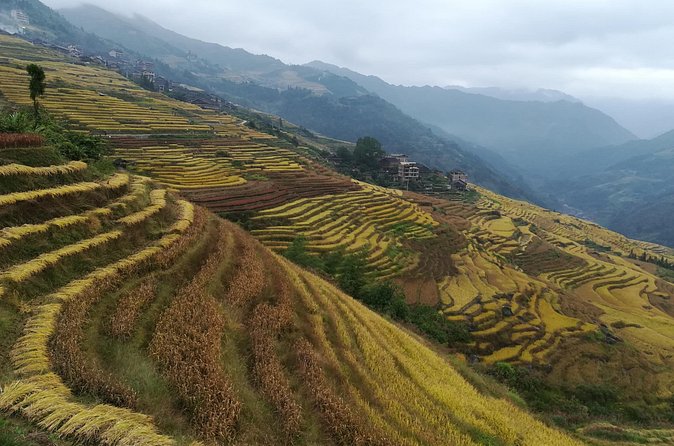 Longji Rice Terraces Hiking Tour Full Day Adventure - Returning to Guilin After the Hike