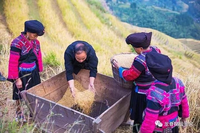 Longji rice terraces & minority villages private day tour - Why Longji earns a full day from Guilin