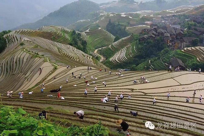 Longji rice terraces & minority villages private day tour - What the private format really buys you