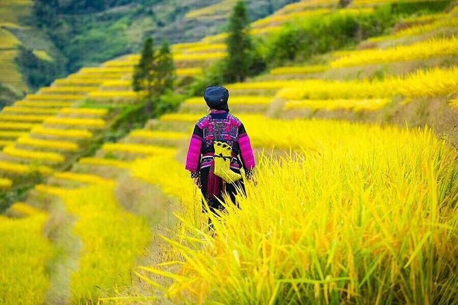Longji rice terraces & minority villages private day tour - Guides, communication, and the service level