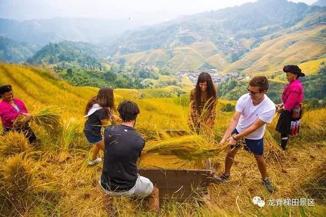 Longji rice terraces & minority villages private day tour - The 8:30 pickup and the long ride north
