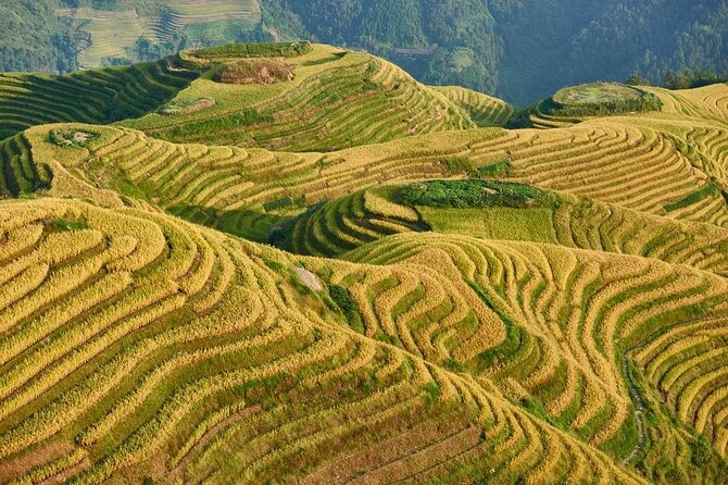 Longji Rice Terraces with Minority Village Private Day Tour - Five things to know before you go