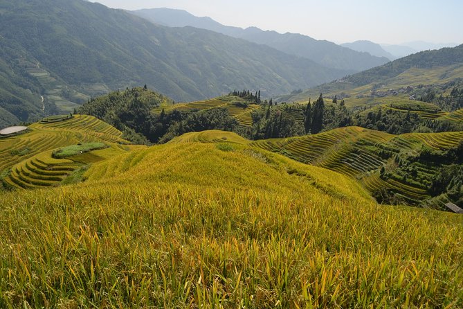 Longji Rice Terraces with Minority Village Private Day Tour - Door-to-door transport makes the day easier