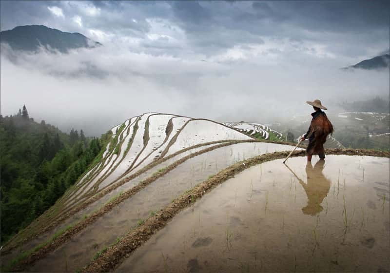 Longsheng Ethnic Minority & Rice Terraces Full-Day Tour - Why the Dragon’s Backbone terraces are worth the trip