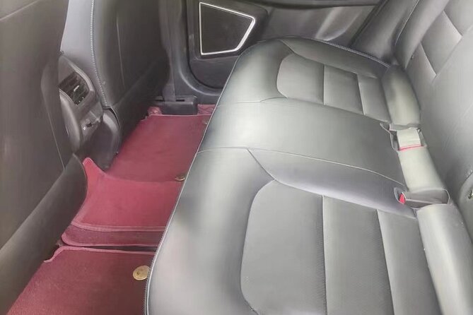 Luoyang private car for Longmen Grottoes and Shaolin temple - Starting from your hotel or Luoyang station