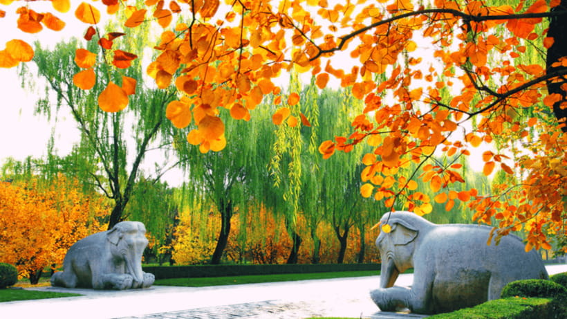 Ming Tombs Admission Ticket - Dingling and the underground palace