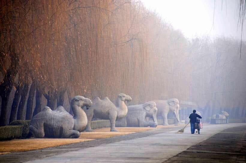 Ming Tombs Private Tour: Sacred Road, Dingling and Changling - Guide quality, language, and the private advantage