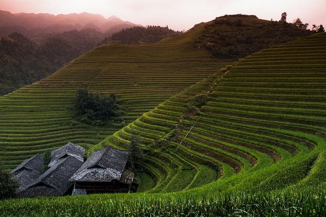 Mini Group: Longji Rice Terraced Fields and Minority Villages Tour - Why the small-group format matters