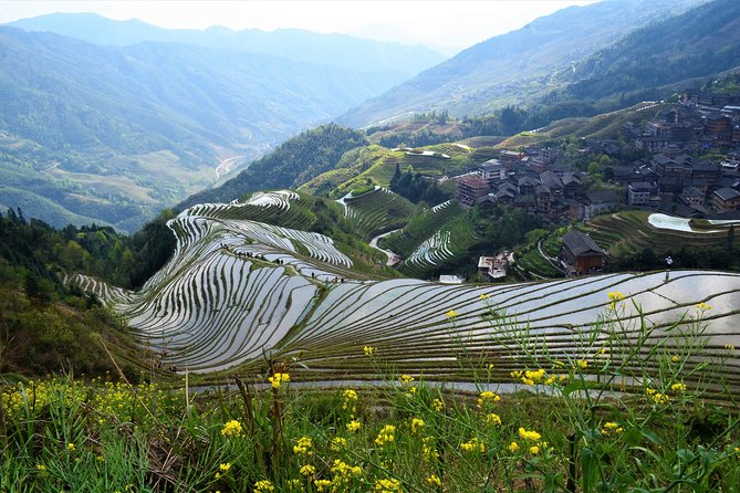 Mini Group: Longji Rice Terraced Fields and Minority Villages Tour - Guides, language, and the human side of the day