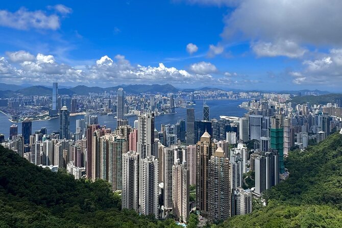 Morning Tour - Deluxe Hong Kong Island Tour with Hotel Pickup in Kowloon - What this Hong Kong morning tour really offers