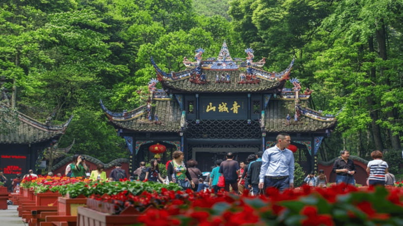 Mount Qingcheng Tour: Explore Serene and Sacred Taoist Site - The driver service is a major strength
