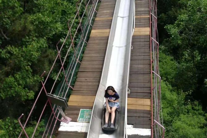 Mutianyu Great Wall Private Tour with Best English Speak Driver - Cable Cars, Chairlifts, and the Toboggan Ride